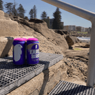 Earlybird Bushy - Tailed XPA 375mL | EarlyBird | Craftzero