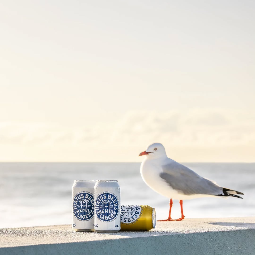 Hiatus Premium Lager 375mL | Hiatus Beers | Craftzero