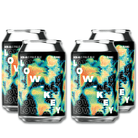 Range Brewing Low Key Hazy Pale Ale 330ml | Range Brewing | Craftzero
