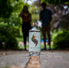 Seedlip Spice 94 700mL | Seedlip Drinks | Craftzero