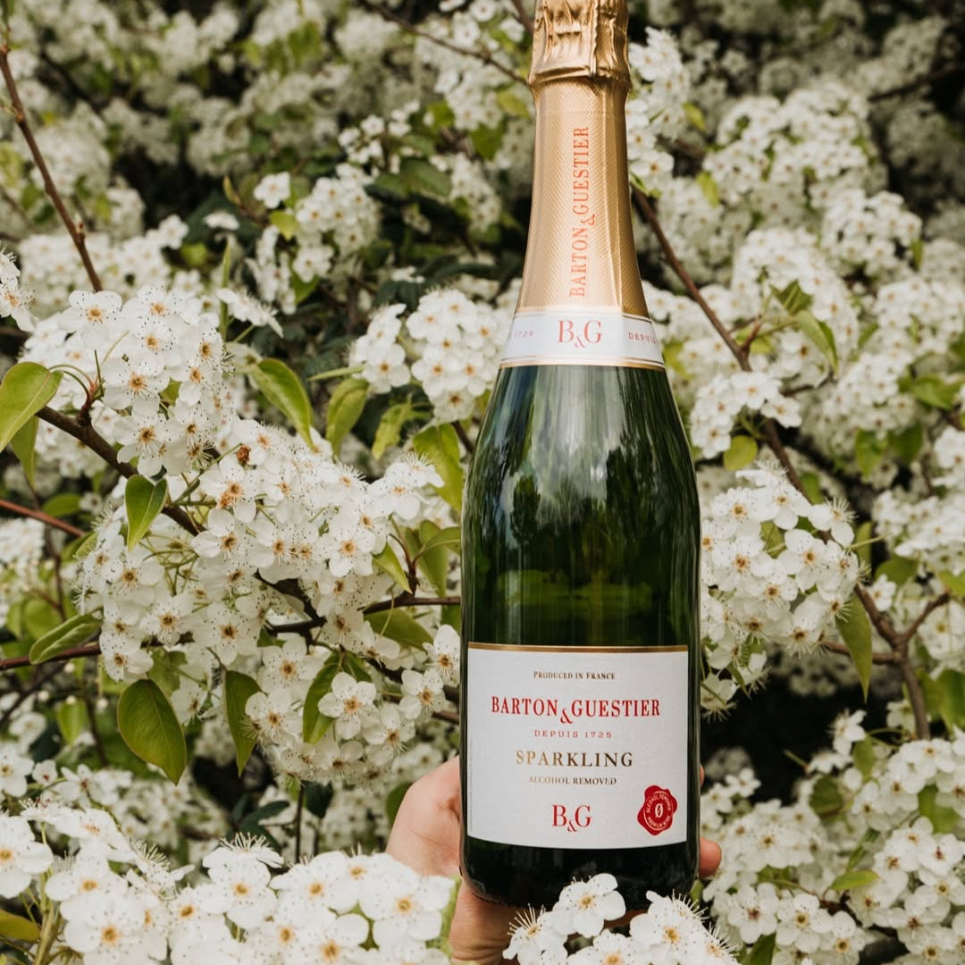 Barton & Guestier Alcohol - Free Sparkling 750mL | Barton & Guestier | Craftzero