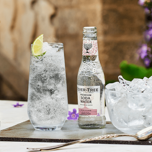 Fever - Tree Premium Soda Water 200ml | Fever - Tree | Craftzero
