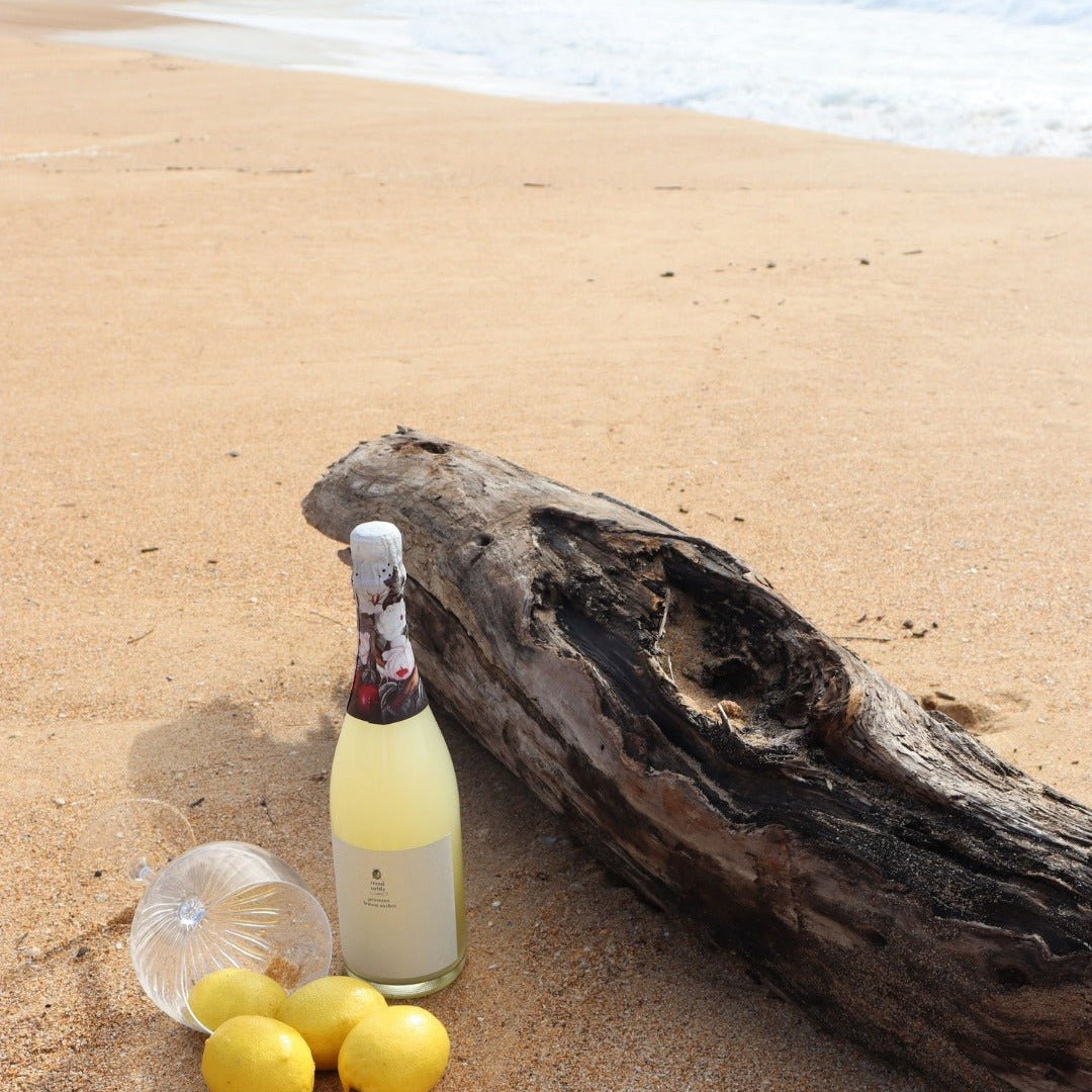 Tread Softly Everything Except Alcohol - Free Prosecco Lemon Sorbet 750mL | Tread Softly | Craftzero