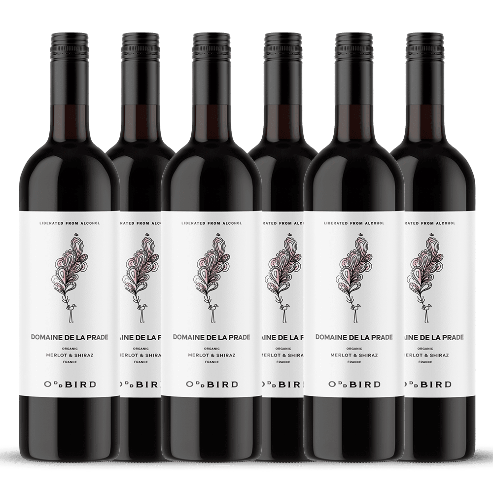 Domaine de la Prade Organic Alcohol Free Merlot & Shiraz 750ml - Odd Bird - Craftzero