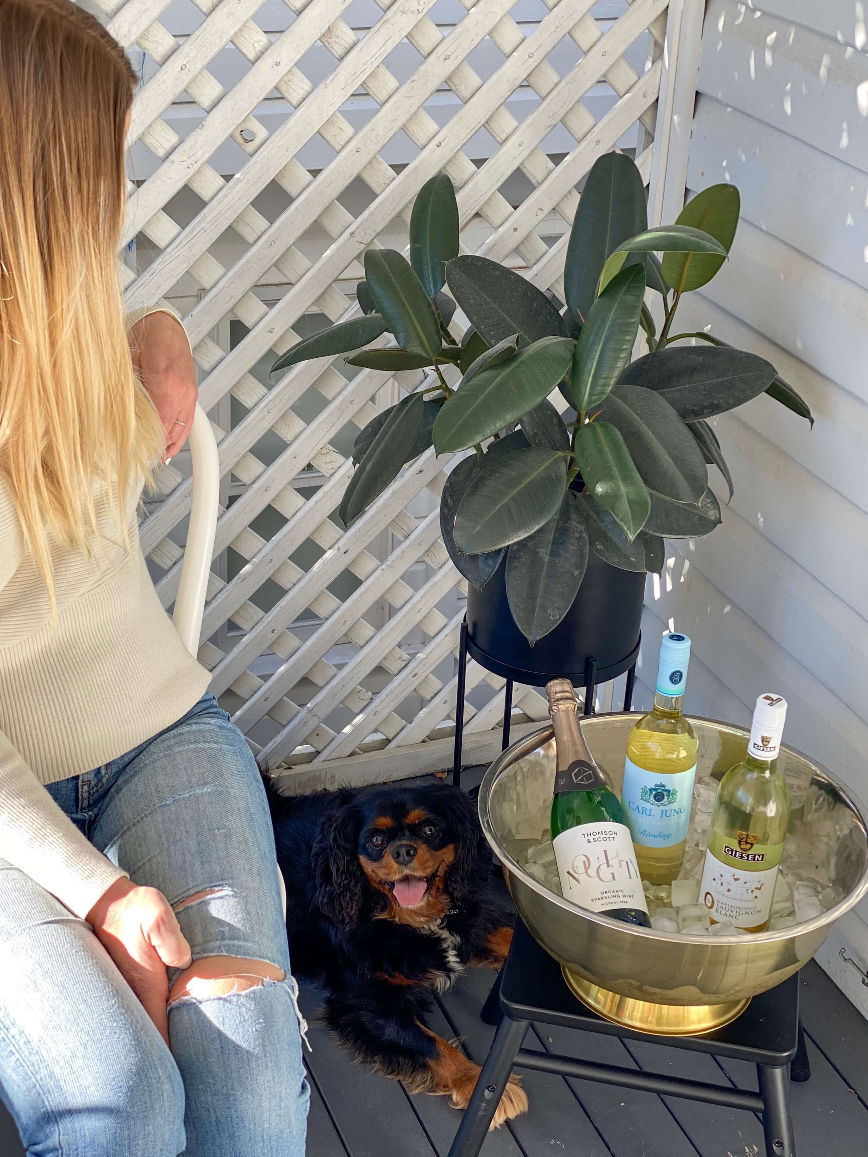 7 Tips On How To Cut Back On Alcohol During COVID-19 - Craftzero