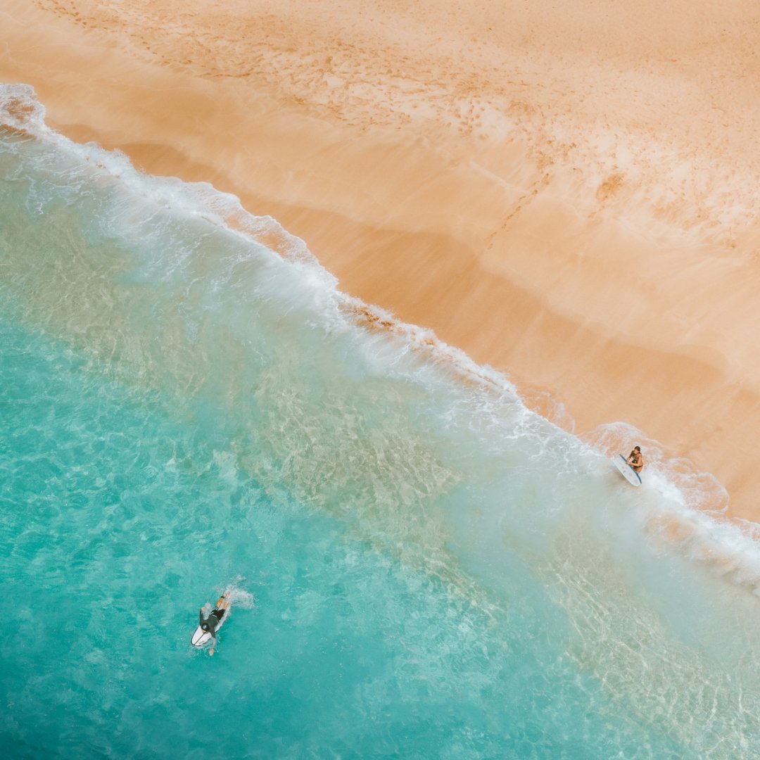 Catching Waves of Wellness - Craftzero