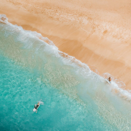 Catching Waves of Wellness - Craftzero