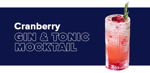 Cranberry Gin & Tonic Mocktail - Craftzero
