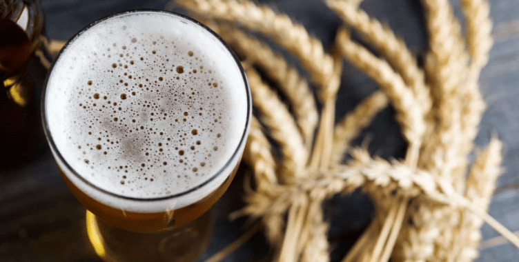 Gluten-Free vs Low-Gluten: What Do Beer Labels Actually Mean? - Craftzero