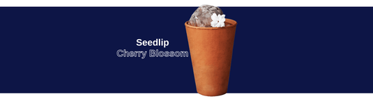 Seedlip: Cherry Blossom - Craftzero