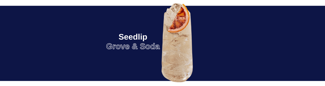 Seedlip: Grove & Soda - Craftzero