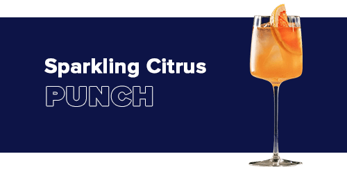 Sparkling Citrus Punch - Craftzero
