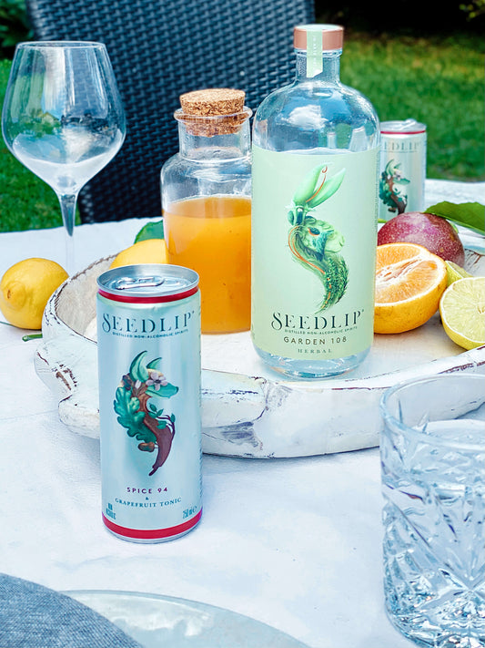 Struggling to give up drinking? Here are some alternatives - Craftzero