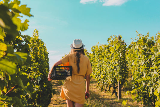 Uncorking the Best: A Guide to the Finest Non-Alcoholic Wines - Craftzero