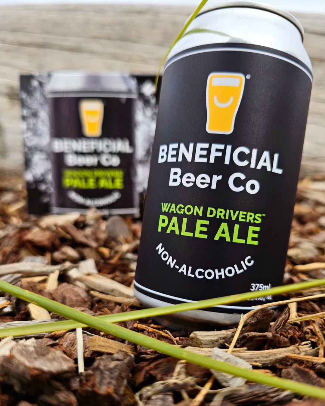 Beneficial Beer Co Wagon Drivers Pale Ale 375mL | Beneficial Beer Co | Craftzero