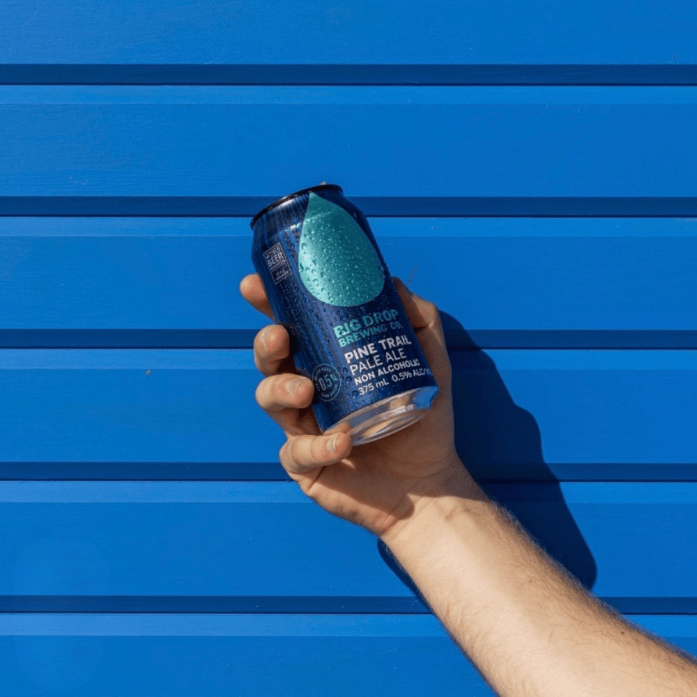 Big Drop Pine Trail Pale Ale Non-Alcoholic 355ml - Big Drop - Craftzero