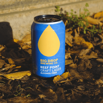 Big Drop Reef Point Craft Lager Non-Alcoholic 355ml - Big Drop - Craftzero