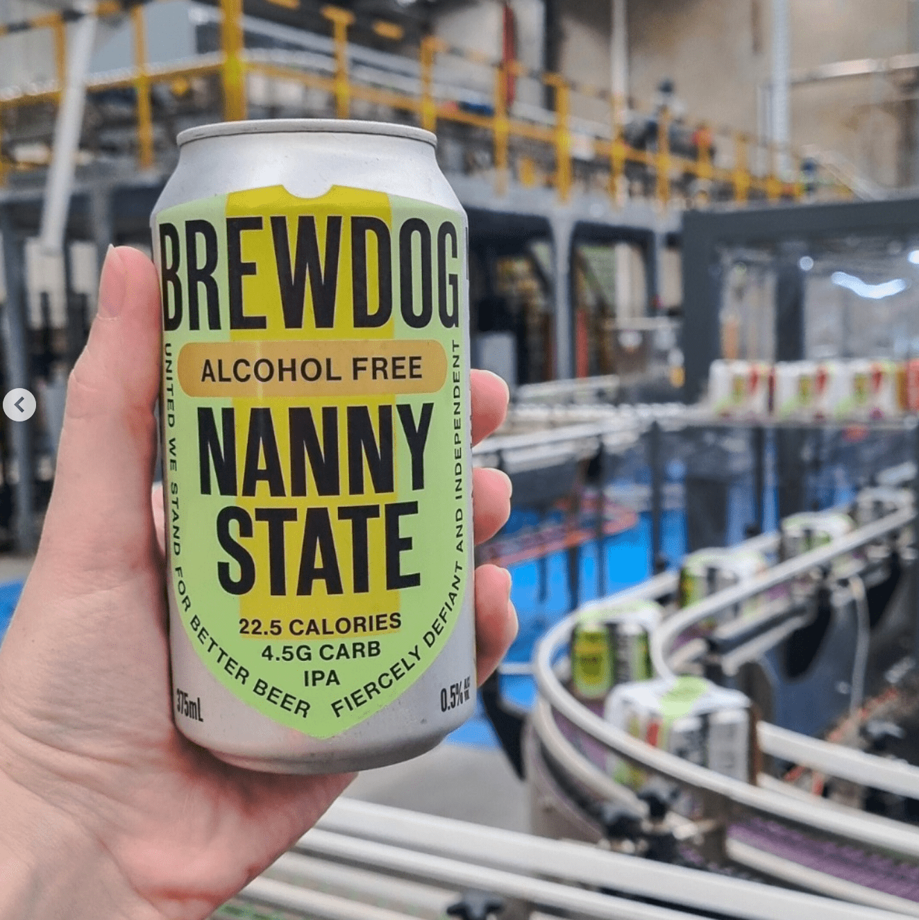 BrewDog Nanny State Low Carb Alcohol Free IPA 375ml - BrewDog - Craftzero