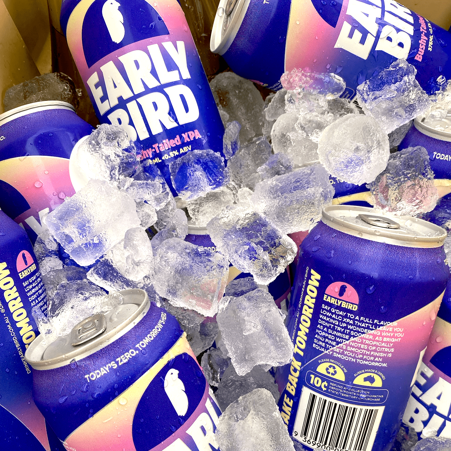 Earlybird Non-Alcoholic Bushy-Tailed XPA 375ml - EarlyBird - Craftzero