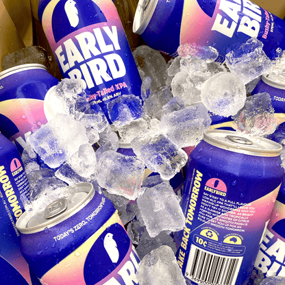 Earlybird Non-Alcoholic Bushy-Tailed XPA 375ml - EarlyBird - Craftzero