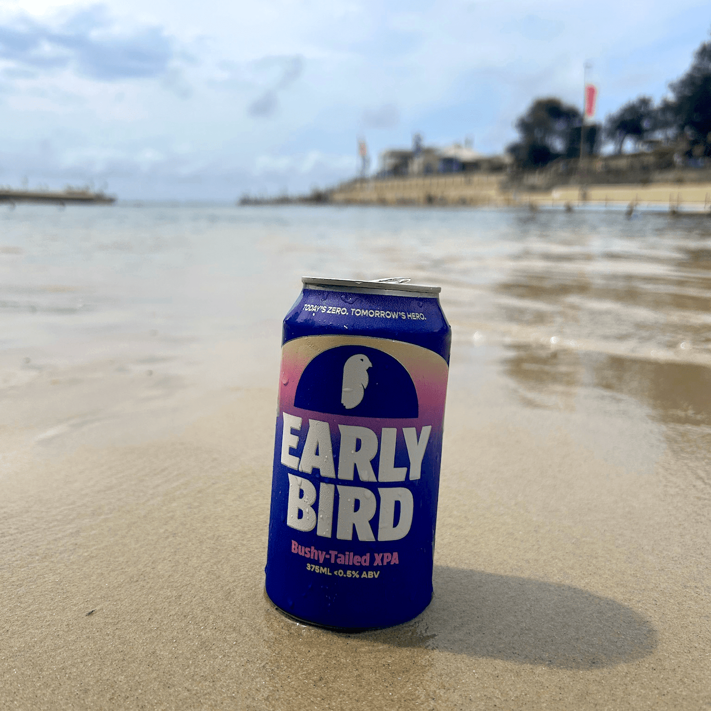 Earlybird Non-Alcoholic Bushy-Tailed XPA 375ml - EarlyBird - Craftzero