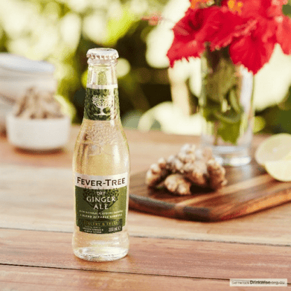 Fever-Tree Dry Ginger Ale 200ml - Fever-Tree - Craftzero