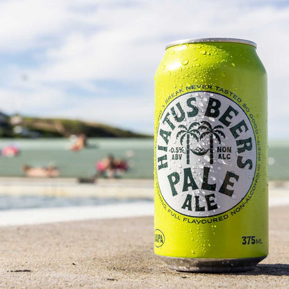 Hiatus Beers Non-Alcoholic Pale Ale 375ml - Hiatus Beers - Craftzero