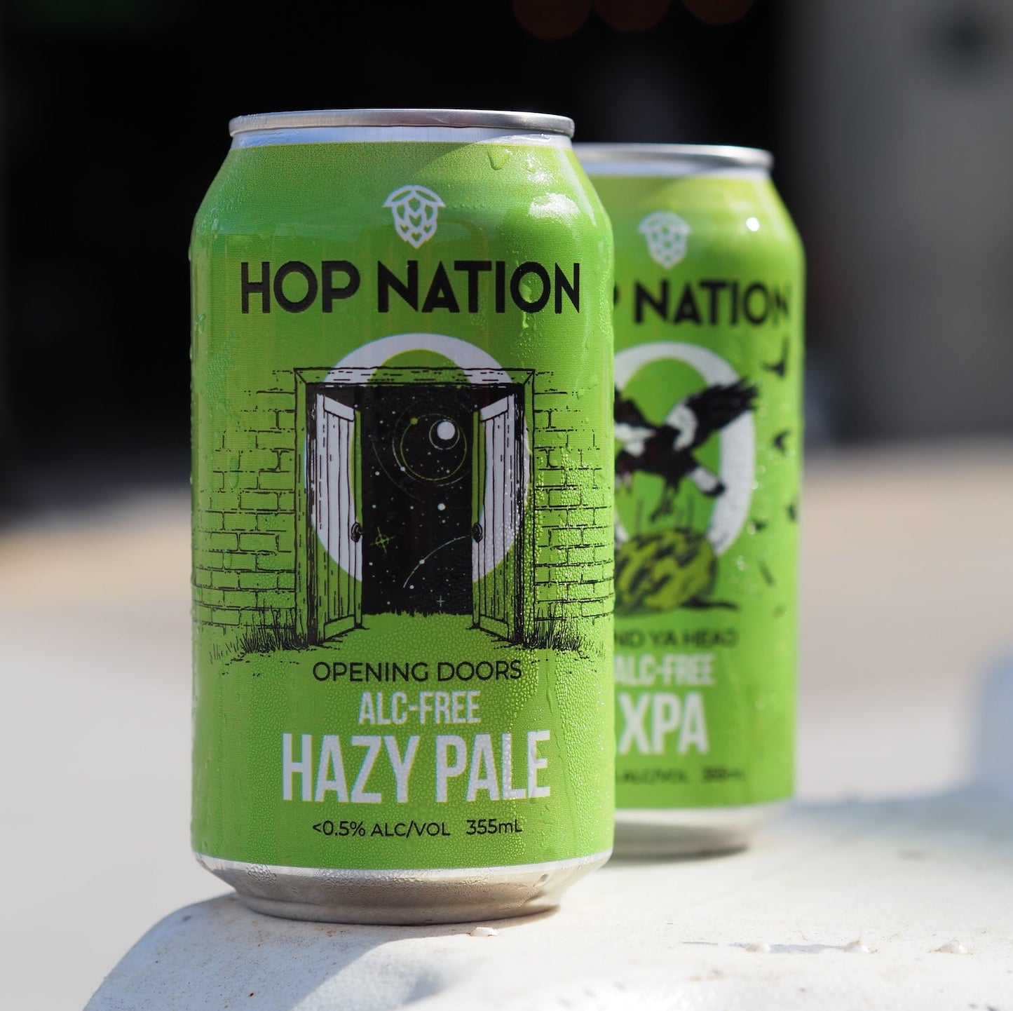 Hop Nation Opening Doors Alc-Free Hazy Pale Ale 355ml ***BBD 02/26*** - Hop Nation Brewing Co. - Craftzero