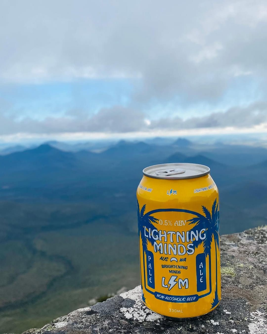 Lightning Minds Non-Alcoholic Pale Ale 330ml - Lightning Minds - Craftzero