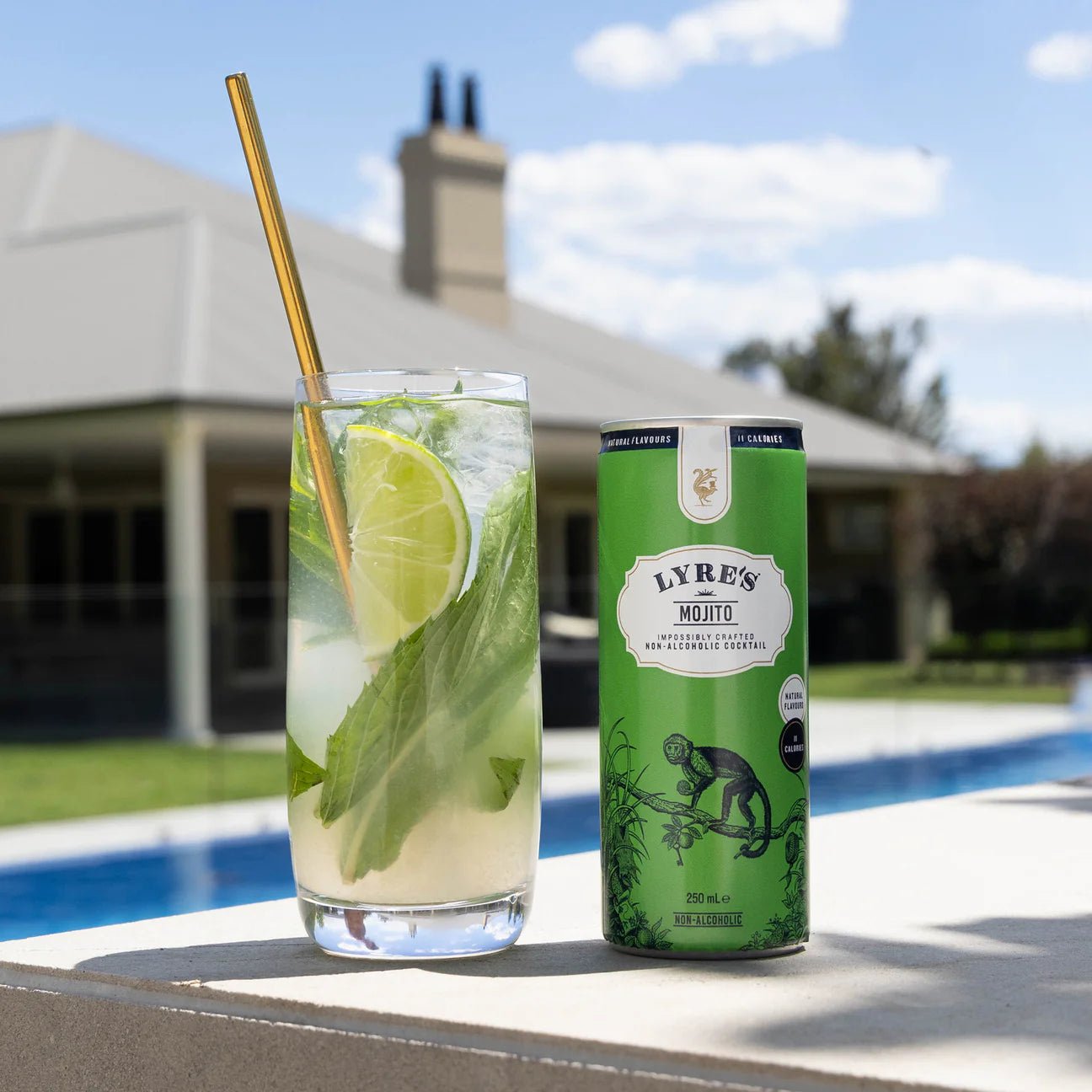 Lyre's Non-Alcoholic RTD Mojito 250ml - Lyres - Craftzero