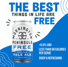 Mornington Free Non-Alc Pale Ale 375mL - Mornington Brewery - Craftzero