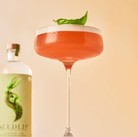 Seedlip Garden 108 700mL | Seedlip Drinks | Craftzero