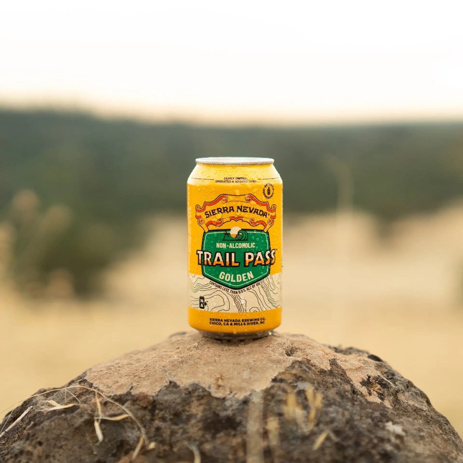 Sierra Nevada Trail Pass Non-Alcoholic Beer Golden Ale 355ml - Sierra Nevada - Craftzero