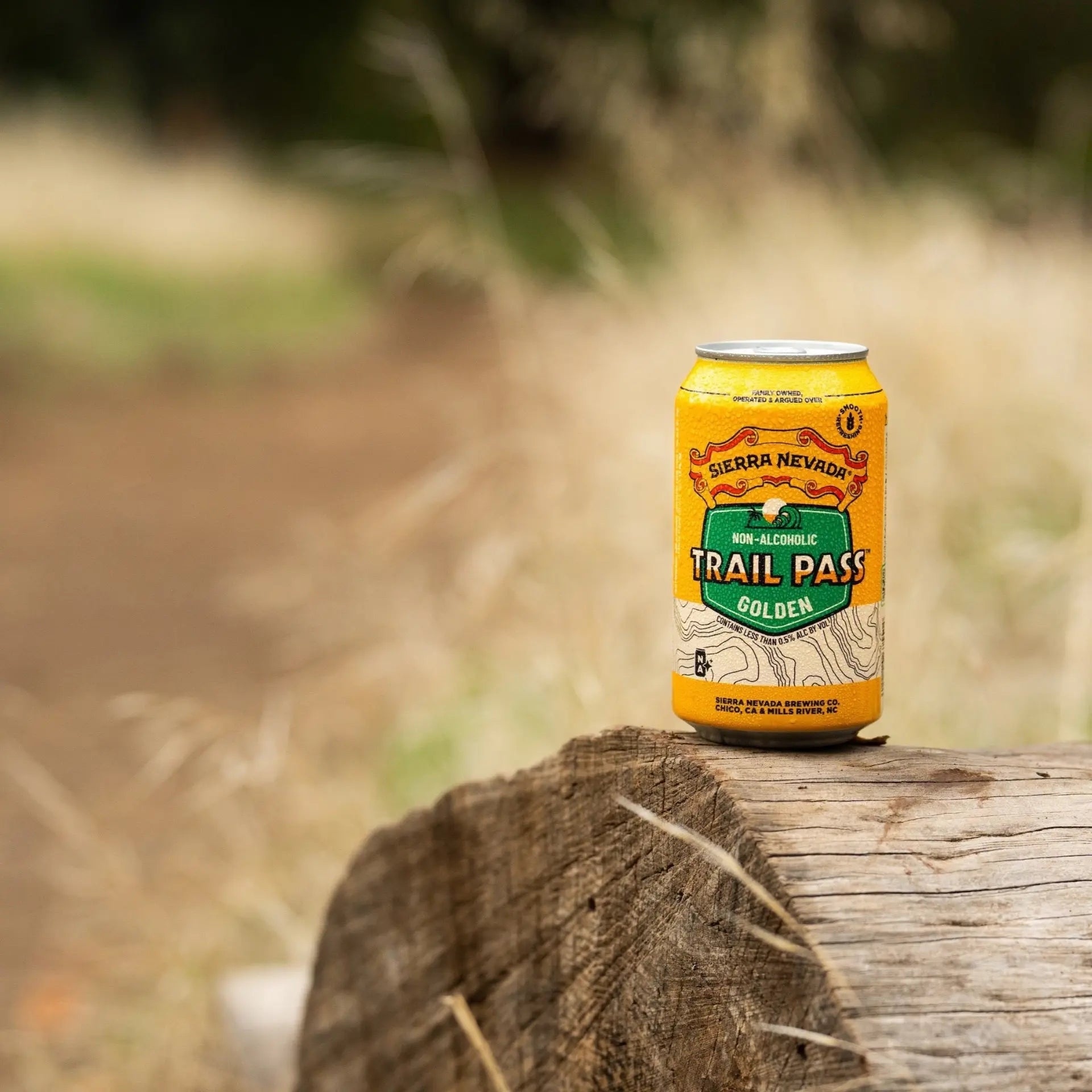 Sierra Nevada Trail Pass Non-Alcoholic Beer Golden Ale 355ml - Sierra Nevada - Craftzero