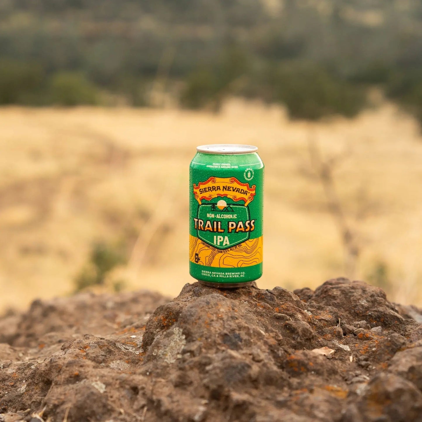 Sierra Nevada Trail Pass Non-Alcoholic Beer IPA 355ml - Sierra Nevada - Craftzero