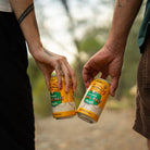Sierra Nevada Trail Pass Non - Alcoholic Golden 355ml | Sierra Nevada | Craftzero