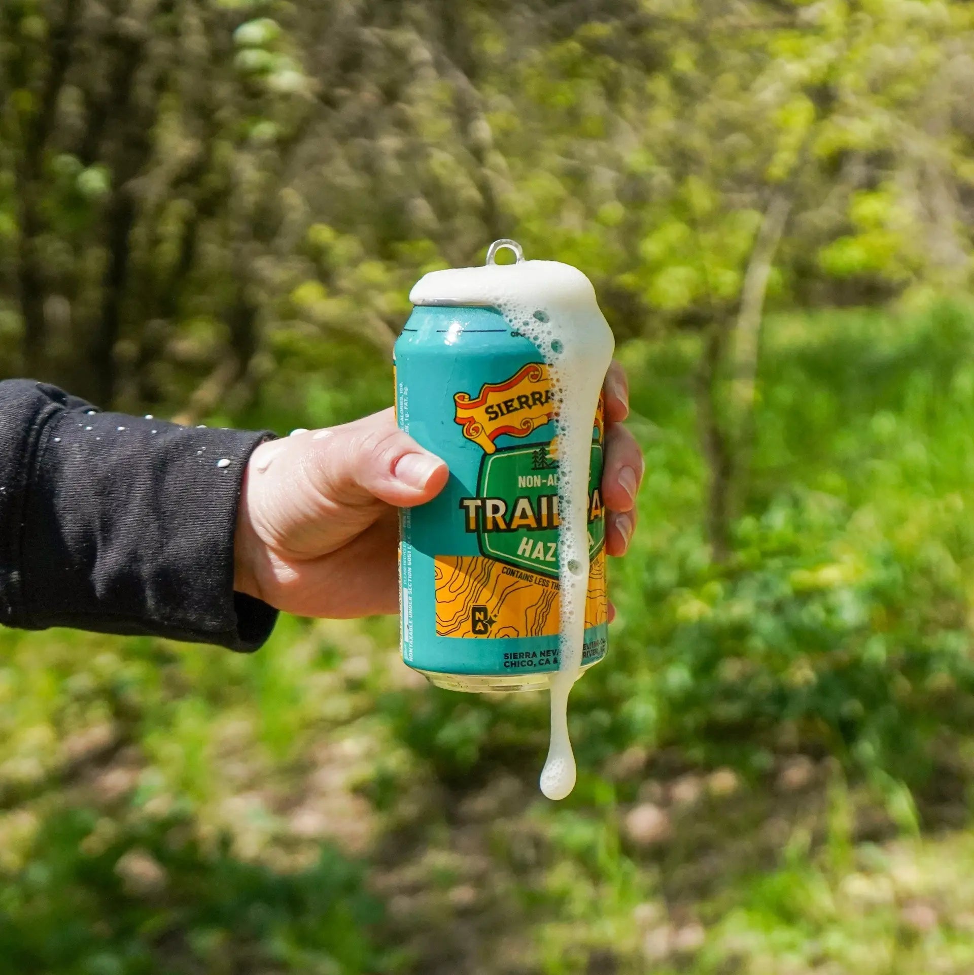 Sierra Nevada Trail Pass Non - Alcoholic Hazy IPA 355ml | Sierra Nevada | Craftzero