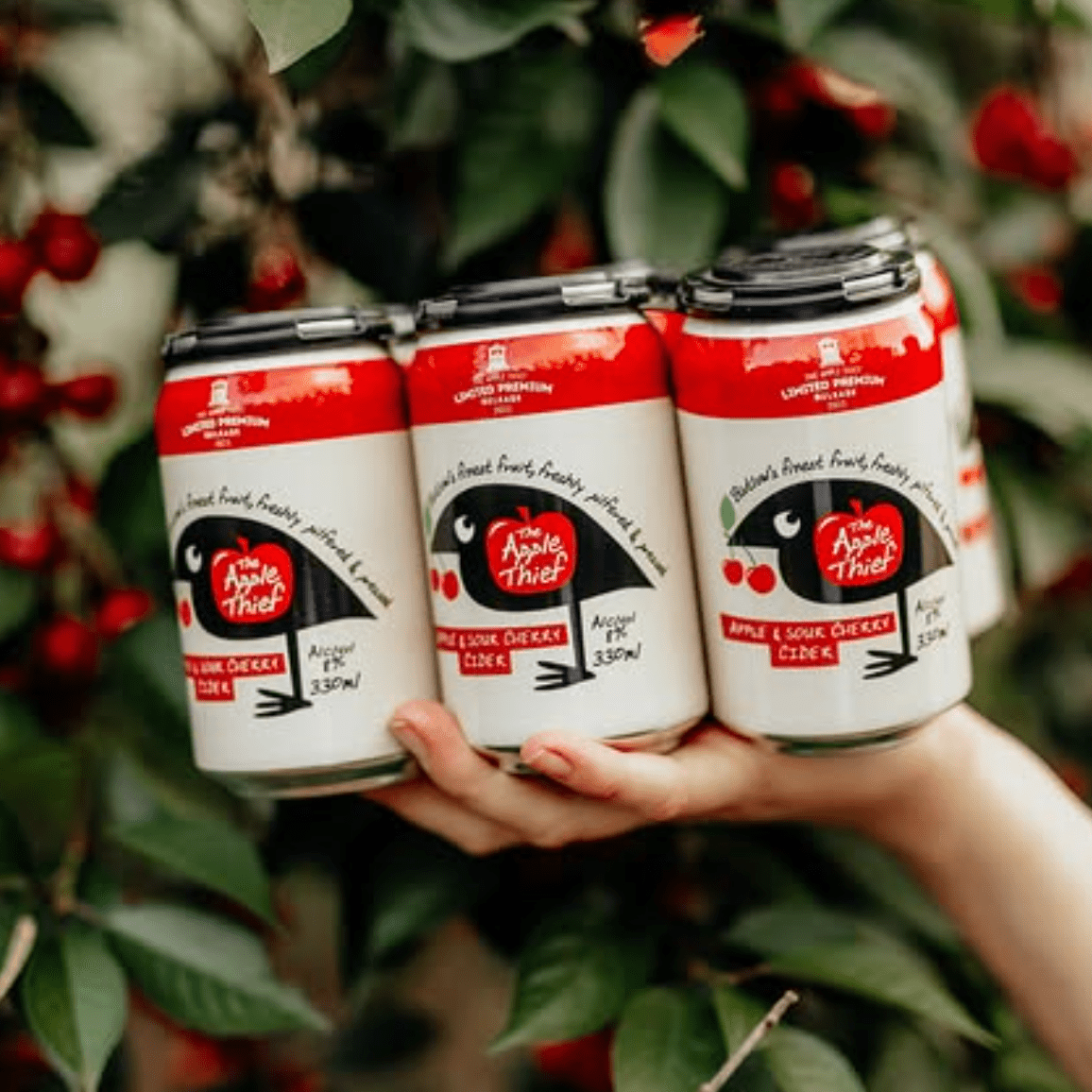 The Apple Thief Non-Alcoholic Apple & Cherry Cider 330ml - The Apple Thief - Craftzero