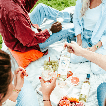 VINA’0° Le Merlot Alcohol - Free Organic Red Wine 750mL | VINA’0 | Craftzero