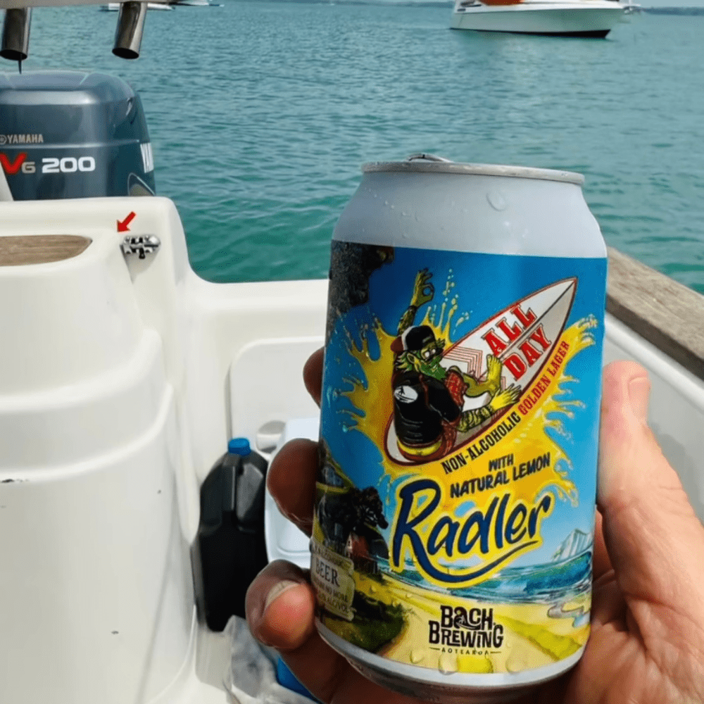 Bach Brewing All Day Non-Alcoholic Beer Mix Bundle - 24x330ml - Bach Brewing - Craftzero