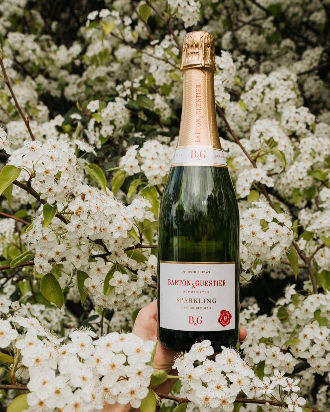 Barton & Guestier Alcohol-Free Sparkling 750mL - Barton & Guestier - Craftzero