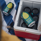 Big Drop Paradiso Citra IPA Non - Alcoholic 355ml | Big Drop | Craftzero