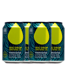 Big Drop Paradiso IPA 330mL | Big Drop | Craftzero