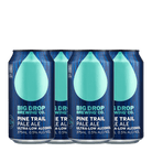 Big Drop Pine Trail Pale Ale 330mL | Big Drop | Craftzero