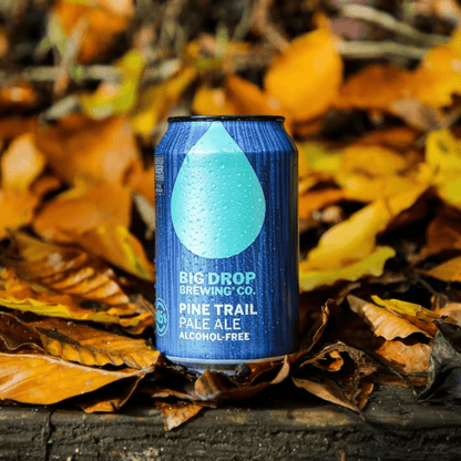 Big Drop Pine Trail Pale Ale Non-Alcoholic 355ml - Big Drop - Craftzero