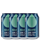 Big Drop Pine Trail Pale Ale Non - Alcoholic 355ml | Big Drop | Craftzero