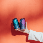 Big Drop Pine Trail Pale Ale Non - Alcoholic 355ml | Big Drop | Craftzero