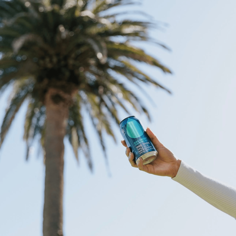 Big Drop Pine Trail Pale Ale Non-Alcoholic 355ml - Big Drop - Craftzero