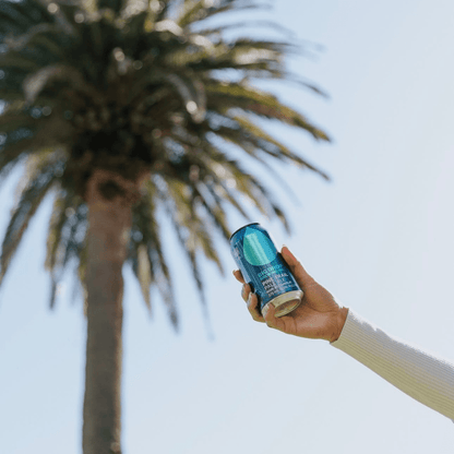 Big Drop Pine Trail Pale Ale Non-Alcoholic 355ml - Big Drop - Craftzero