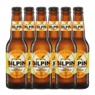 Bilpin Non - Alcoholic Apple and Ginger Cider 330mL | Bilpin Cider Co | Craftzero